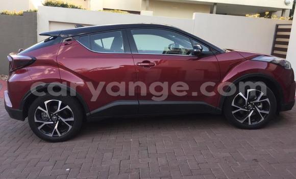 Buy Used Toyota C-HR Red Car in Grootfontein in Namibia Buy Used Toyota C-HR Red Car in Grootfontein in Namibia