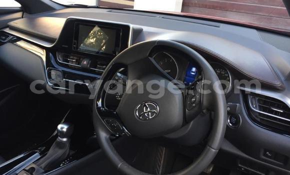 Buy Used Toyota C-HR Red Car in Grootfontein in Namibia Buy Used Toyota C-HR Red Car in Grootfontein in Namibia