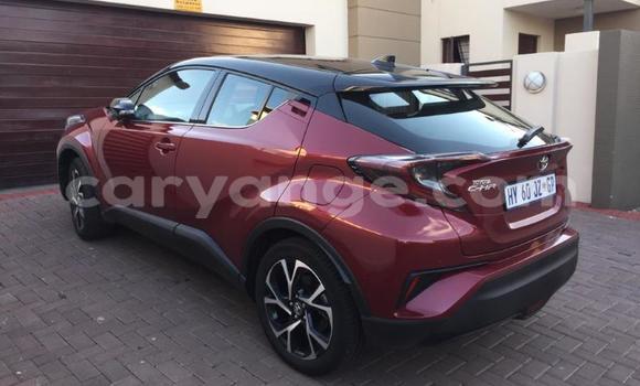 Buy Used Toyota C-HR Red Car in Grootfontein in Namibia Buy Used Toyota C-HR Red Car in Grootfontein in Namibia