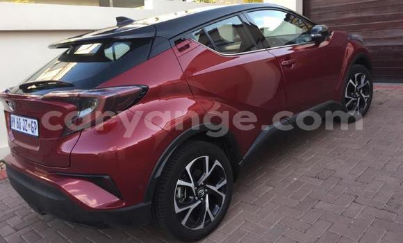 Buy Used Toyota C-HR Red Car in Grootfontein in Namibia Buy Used Toyota C-HR Red Car in Grootfontein in Namibia
