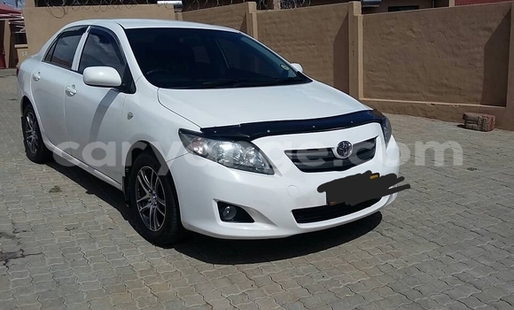 Buy Used Toyota Corolla White Car in Windhoek in Namibia Buy Used Toyota Corolla White Car in Windhoek in Namibia