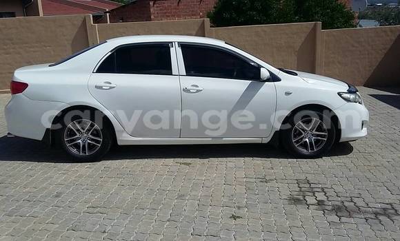 Buy Used Toyota Corolla White Car in Windhoek in Namibia Buy Used Toyota Corolla White Car in Windhoek in Namibia