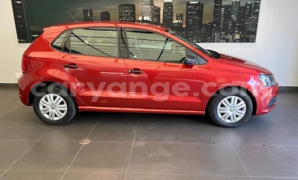 Acheter Occasion Voiture Volkswagen Polo Rouge à Import - Dubai, Namibie Acheter Occasion Voiture Volkswagen Polo Rouge à Import - Dubai, Namibie