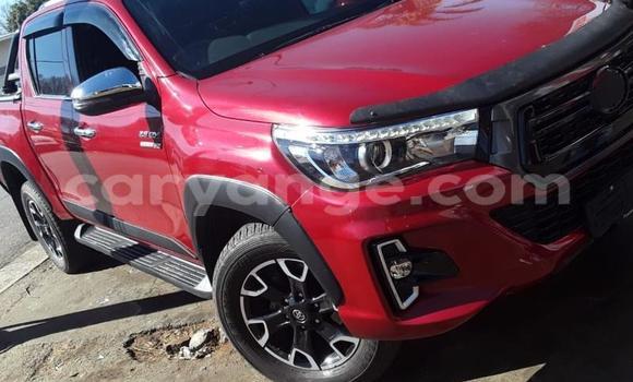 Buy Used Toyota Hilux Red Car in Windhoek in Namibia