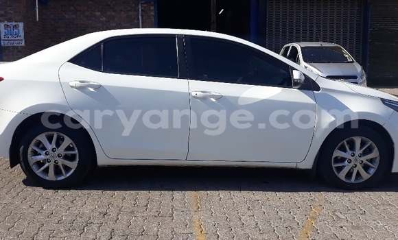 Acheter Occasion Voiture Toyota Corolla Blanc à Windhoek, Namibie Acheter Occasion Voiture Toyota Corolla Blanc à Windhoek, Namibie