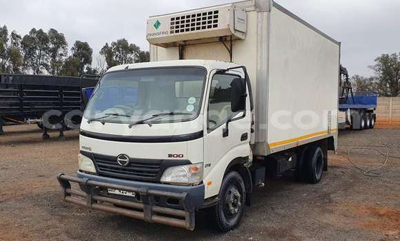 Buy Used Hino 300 Series White Truck in Karasburg in Karas