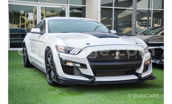 Buy Import Ford Mustang White Car in Import - Dubai in Namibia Buy Import Ford Mustang White Car in Import - Dubai in Namibia