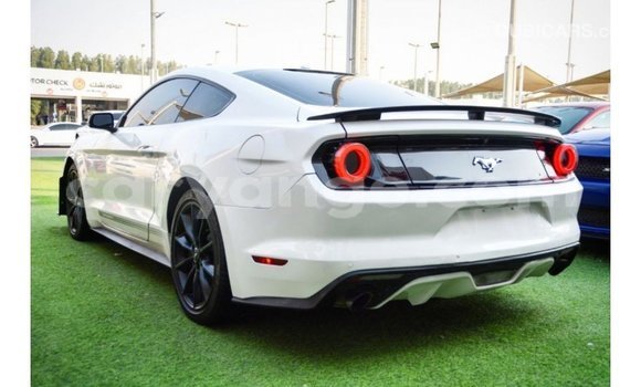 Buy Import Ford Mustang White Car in Import - Dubai in Namibia Buy Import Ford Mustang White Car in Import - Dubai in Namibia