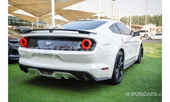 Buy Import Ford Mustang White Car in Import - Dubai in Namibia Buy Import Ford Mustang White Car in Import - Dubai in Namibia