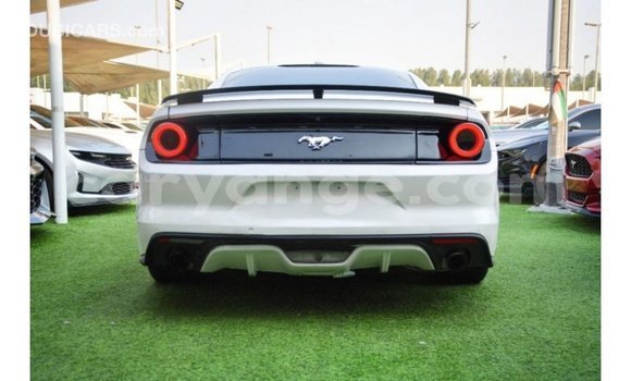 Buy Import Ford Mustang White Car in Import - Dubai in Namibia Buy Import Ford Mustang White Car in Import - Dubai in Namibia