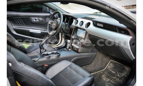 Buy Import Ford Mustang White Car in Import - Dubai in Namibia Buy Import Ford Mustang White Car in Import - Dubai in Namibia