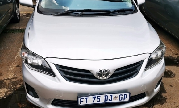 Buy Used Toyota Corolla Silver Car in Windhoek in Namibia
