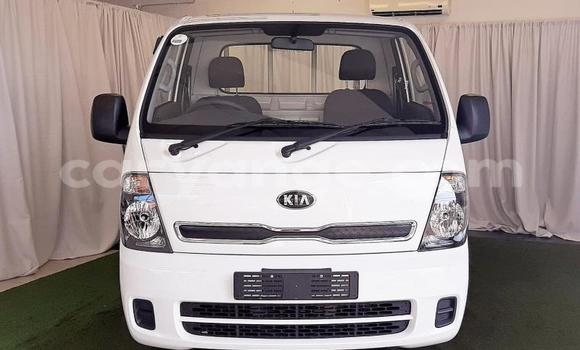 Buy Used Kia K3 White Car in Windhoek in Namibia