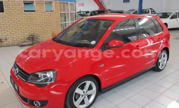 Buy Used Volkswagen Polo Red Car in Windhoek in Namibia