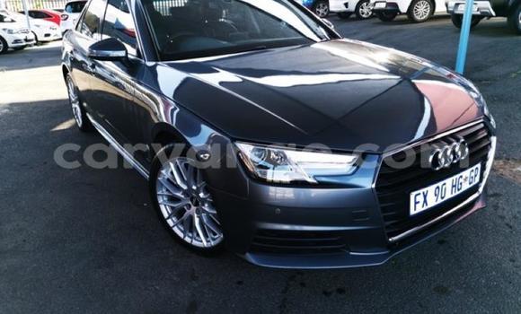 Buy Used Audi A4 Other Car in Gobabis in Omaheke