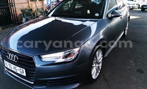Buy Used Audi A4 Other Car in Gobabis in Omaheke Buy Used Audi A4 Other Car in Gobabis in Omaheke