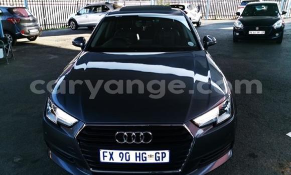 Buy Used Audi A4 Other Car in Gobabis in Omaheke Buy Used Audi A4 Other Car in Gobabis in Omaheke