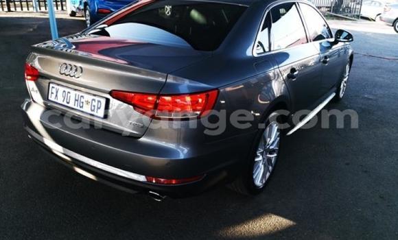 Buy Used Audi A4 Other Car in Gobabis in Omaheke Buy Used Audi A4 Other Car in Gobabis in Omaheke