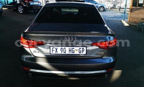 Buy Used Audi A4 Other Car in Gobabis in Omaheke Buy Used Audi A4 Other Car in Gobabis in Omaheke