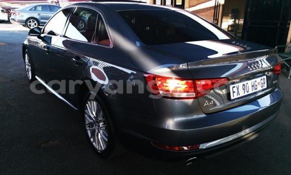 Buy Used Audi A4 Other Car in Gobabis in Omaheke Buy Used Audi A4 Other Car in Gobabis in Omaheke