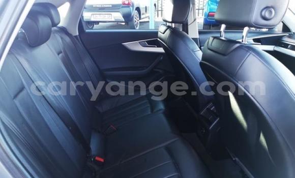 Buy Used Audi A4 Other Car in Gobabis in Omaheke Buy Used Audi A4 Other Car in Gobabis in Omaheke