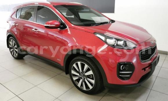 Acheter Occasion Voiture Kia Sportage Rouge à Gobabis, Omaheke