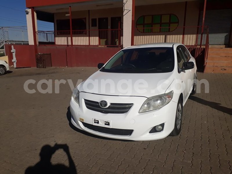 Big with watermark 30623955 578122035882356 6857030771144654848 n