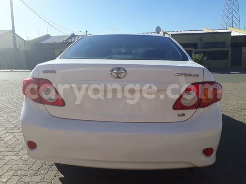 Big with watermark 30629329 194112211393369 244064733525704704 n