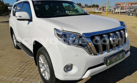 Buy Used Toyota Land Cruiser Prado White Car in Grootfontein in Namibia