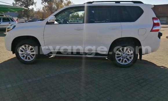 Acheter Occasion Voiture Toyota Land Cruiser Prado Blanc à Grootfontein, Namibie Acheter Occasion Voiture Toyota Land Cruiser Prado Blanc à Grootfontein, Namibie