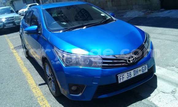 Buy Used Toyota Corolla Blue Car in Windhoek in Namibia Buy Used Toyota Corolla Blue Car in Windhoek in Namibia