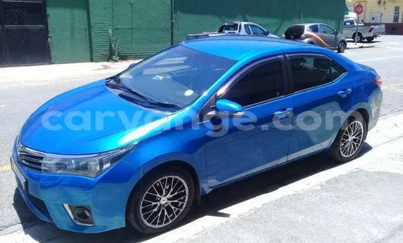 Buy Used Toyota Corolla Blue Car in Windhoek in Namibia Buy Used Toyota Corolla Blue Car in Windhoek in Namibia