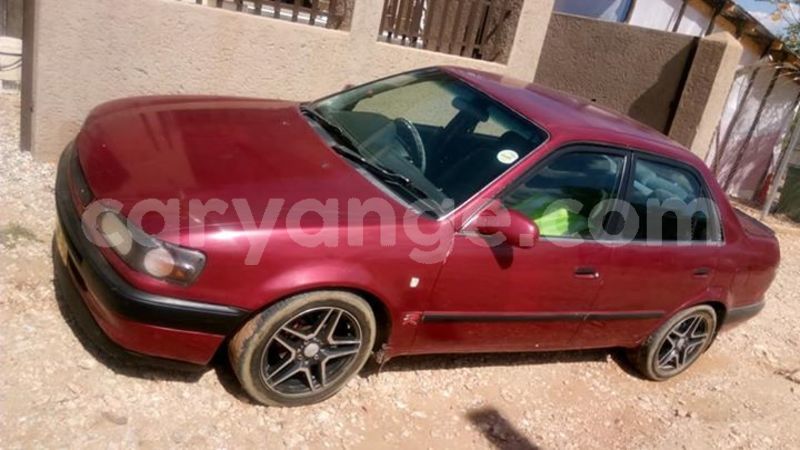 Big with watermark 30623955 578122035882356 6857030771144654848 n