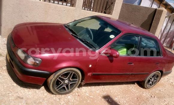 Buy Used Toyota Corolla Red Car in Windhoek in Namibia Buy Used Toyota Corolla Red Car in Windhoek in Namibia