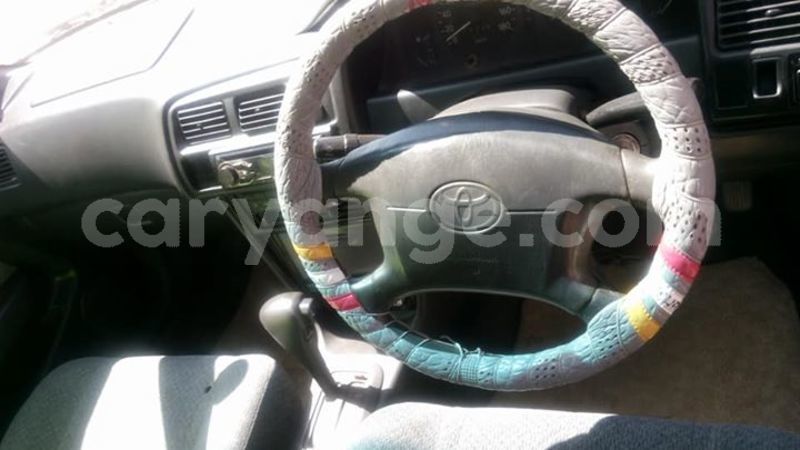 Big with watermark 30629329 194112211393369 244064733525704704 n