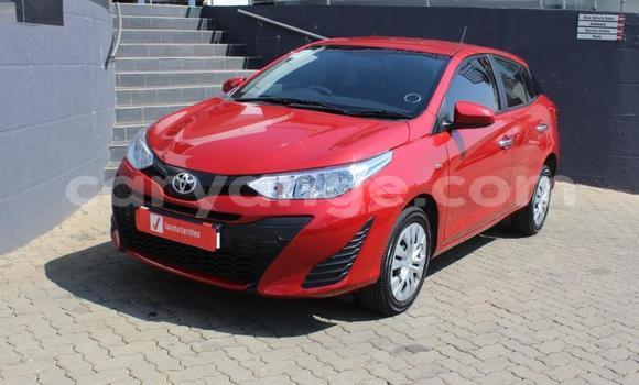 Buy Used Toyota Yaris Red Car in Grootfontein in Namibia