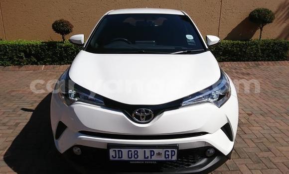 Buy Used Toyota C-HR White Car in Grootfontein in Namibia