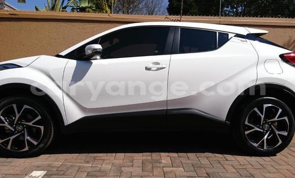 Buy Used Toyota C-HR White Car in Grootfontein in Namibia Buy Used Toyota C-HR White Car in Grootfontein in Namibia