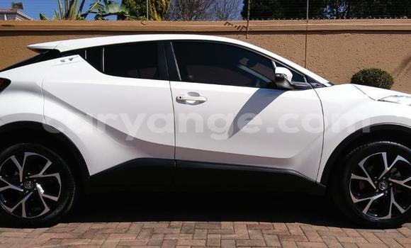 Buy Used Toyota C-HR White Car in Grootfontein in Namibia Buy Used Toyota C-HR White Car in Grootfontein in Namibia