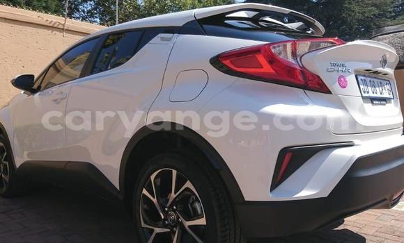 Buy Used Toyota C-HR White Car in Grootfontein in Namibia Buy Used Toyota C-HR White Car in Grootfontein in Namibia