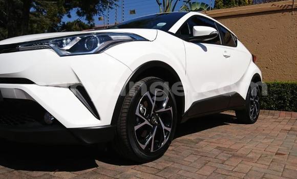 Buy Used Toyota C-HR White Car in Grootfontein in Namibia Buy Used Toyota C-HR White Car in Grootfontein in Namibia