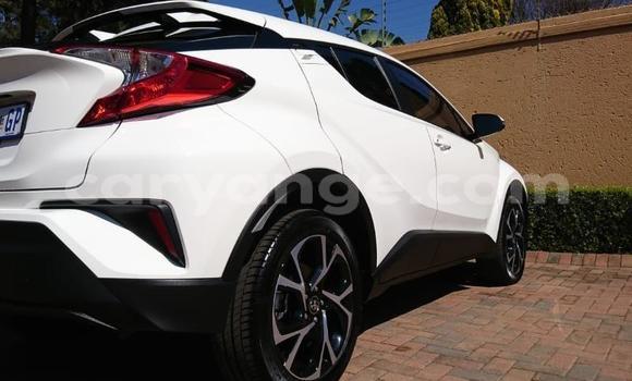 Buy Used Toyota C-HR White Car in Grootfontein in Namibia Buy Used Toyota C-HR White Car in Grootfontein in Namibia