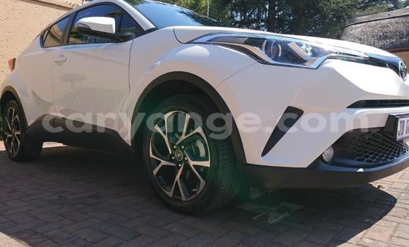 Buy Used Toyota C-HR White Car in Grootfontein in Namibia Buy Used Toyota C-HR White Car in Grootfontein in Namibia