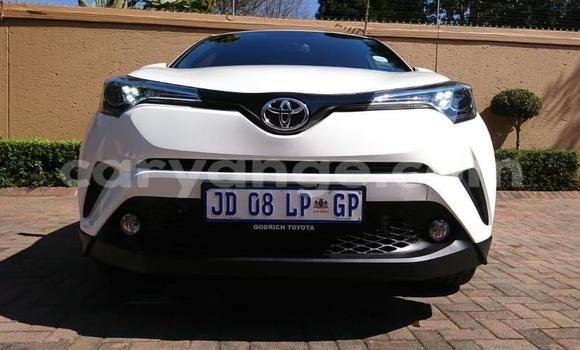 Buy Used Toyota C-HR White Car in Grootfontein in Namibia Buy Used Toyota C-HR White Car in Grootfontein in Namibia