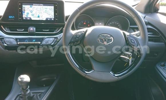 Buy Used Toyota C-HR White Car in Grootfontein in Namibia Buy Used Toyota C-HR White Car in Grootfontein in Namibia