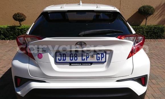 Buy Used Toyota C-HR White Car in Grootfontein in Namibia Buy Used Toyota C-HR White Car in Grootfontein in Namibia