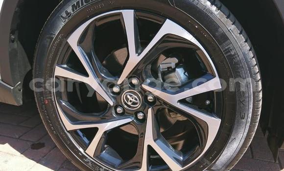 Buy Used Toyota C-HR White Car in Grootfontein in Namibia Buy Used Toyota C-HR White Car in Grootfontein in Namibia
