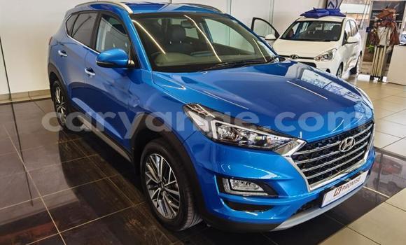 Buy Used Hyundai Tucson Blue Car in Gobabis in Omaheke Buy Used Hyundai Tucson Blue Car in Gobabis in Omaheke