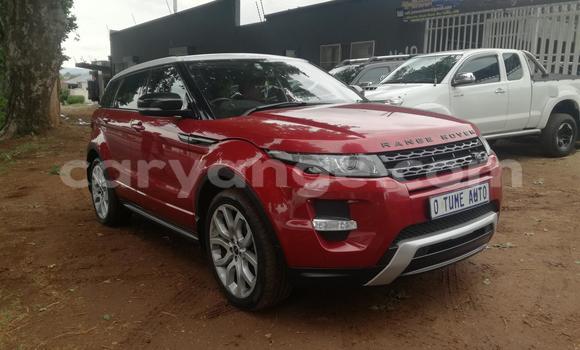 Acheter Occasion Voiture Land Rover Range Rover Rouge à Grootfontein, Namibie Acheter Occasion Voiture Land Rover Range Rover Rouge à Grootfontein, Namibie