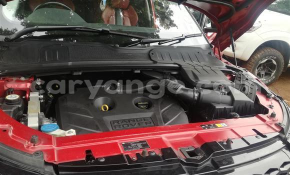 Acheter Occasion Voiture Land Rover Range Rover Rouge à Grootfontein, Namibie Acheter Occasion Voiture Land Rover Range Rover Rouge à Grootfontein, Namibie